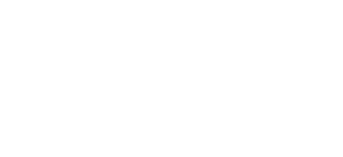 diocesans logo (1)